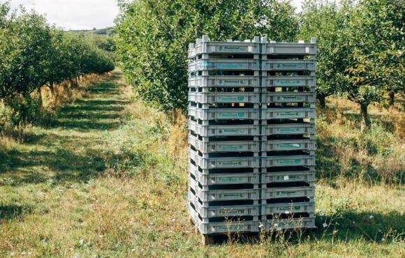 Publicada la norma UNE de caixes reutilitzable per a ús agrícola, comercial i industrial