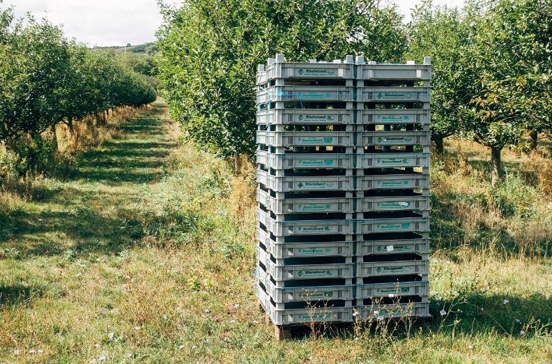 Publicada la norma UNE de caixes reutilitzable per a ús agrícola, comercial i industrial