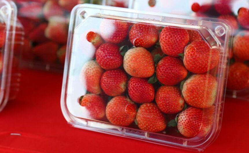maduixetes Plàstics reutilitzables: noves formes de fer la compra