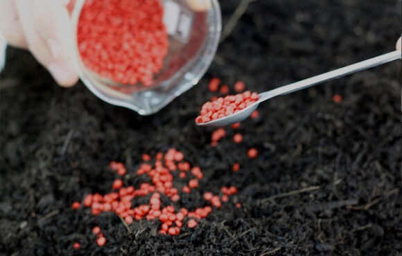 18 de setembre | Plàstics Biodegradables i Compostables: Certificacions i Proves de Laboratori 