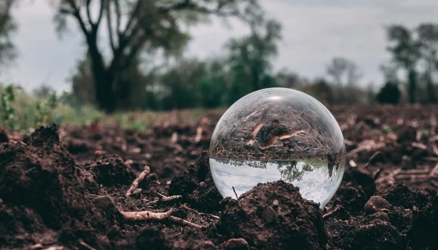 Plàstics biodegradables per combatre la contaminació del sòl a Europa – Projecte SOUL