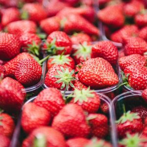 21 – 22 d’octubre | Taller de Plàstic Reciclat en Contacte amb Aliments. Aplicació del Reglament (UE) 2022/1616