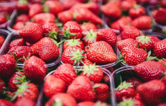 21 – 22 d’octubre | Taller de Plàstic Reciclat en Contacte amb Aliments. Aplicació del Reglament (UE) 2022/1616