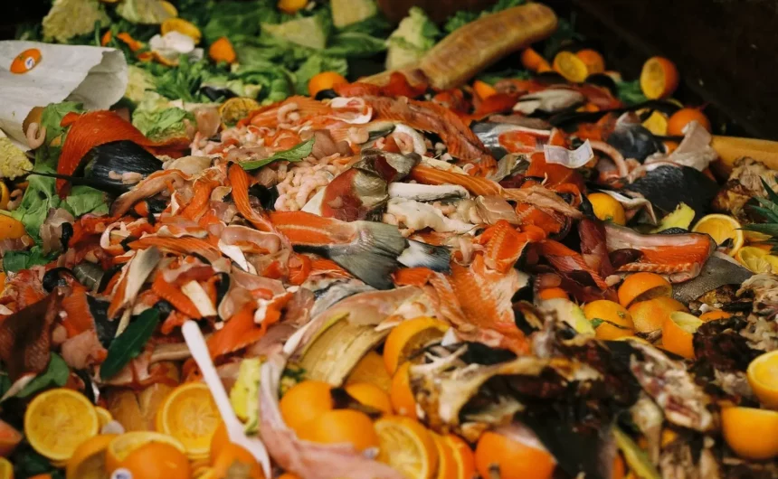 GI_Market_food_waste-1 Transformar restes de menjar en plàstics biodegradables: la solució sostenible del futur