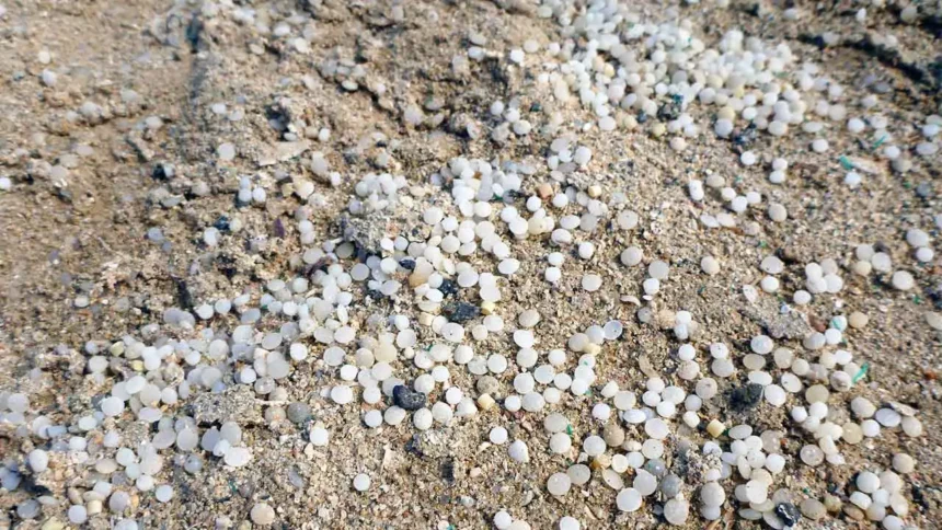 foto_plastic_pollution_231025 Nova regulació de la UE per controlar la gestió dels pèl·lets de plàstic