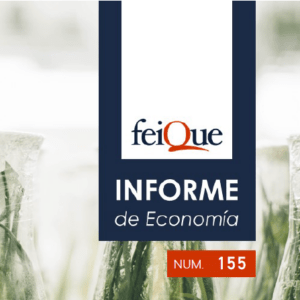 Informe d’economia FEIQUE 155 – octubre 2025