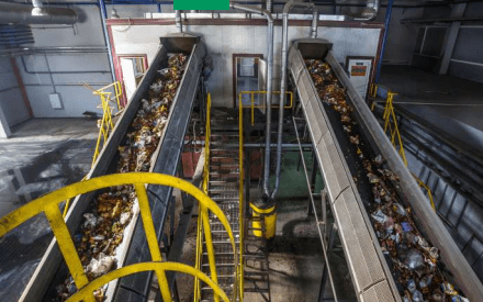 Captura de pantalla 2025-11-25 153536 Bioplàstics més àgils: enzim que fa la diferència