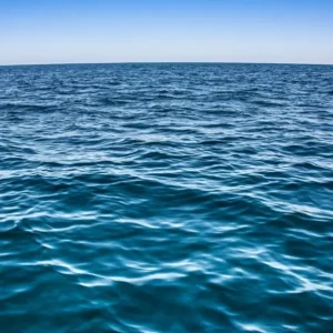 Reactor xinès converteix CO₂ marí en bioplàstics