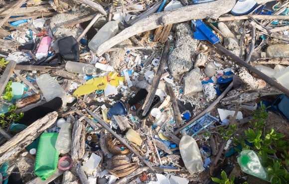 basuramarina La nova guia europea sobre plàstics d’un sol ús marca el camí cap a una economia més circular