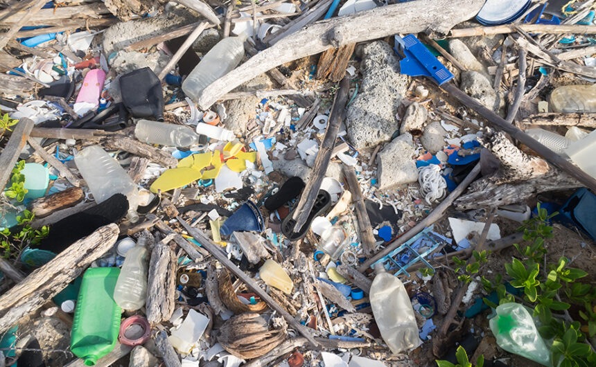 La nova guia europea sobre plàstics d’un sol ús marca el camí cap a una economia més circular