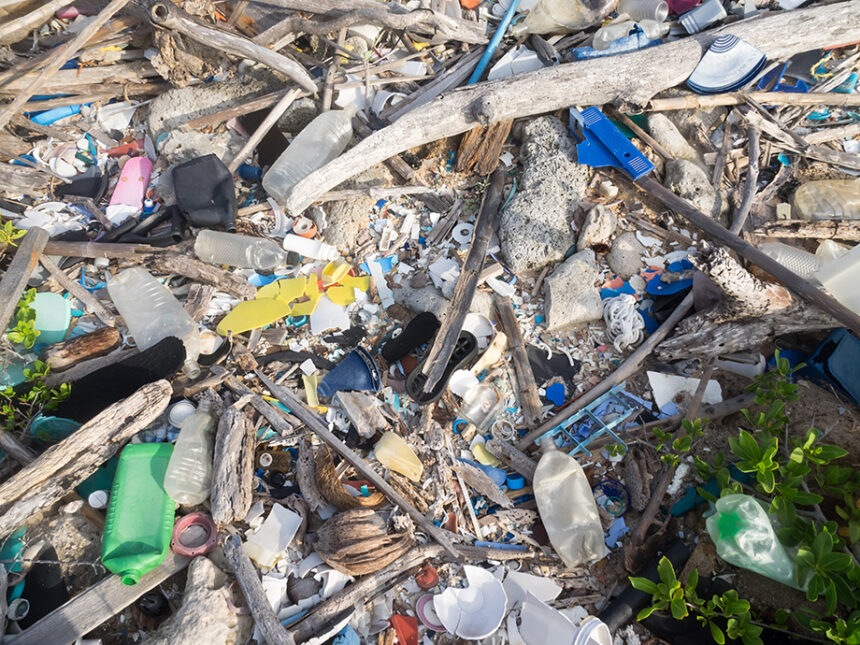 La nova guia europea sobre plàstics d’un sol ús marca el camí cap a una economia més circular