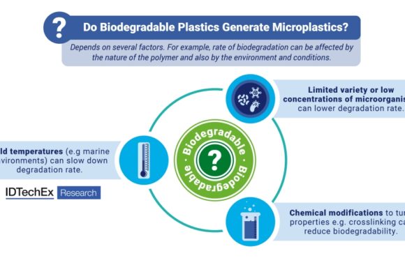 Biodegradables per reduir microplàstics