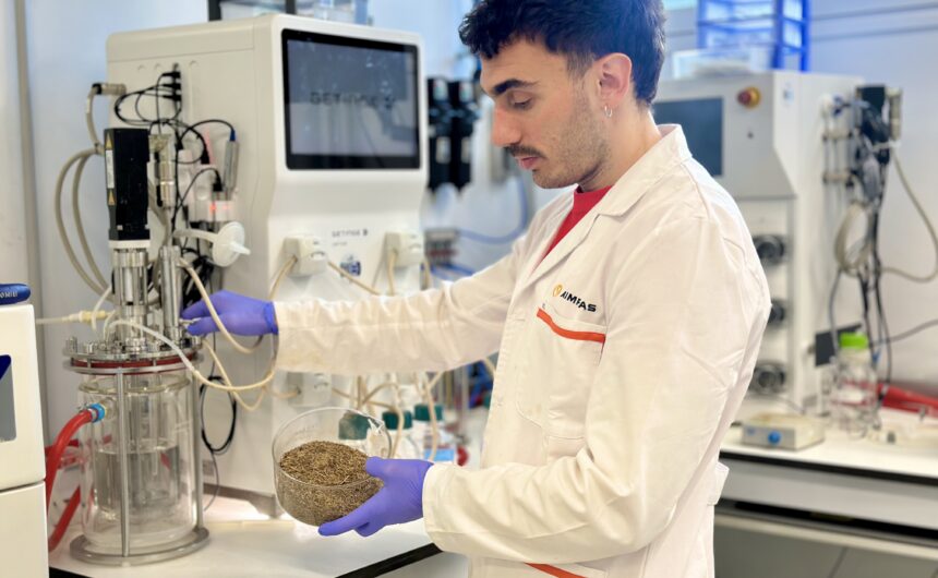 BIOVALSA: Bioplàstics més barats a partir d’arròs i poda de cítrics