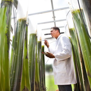 bioeconomystrategy Estratègia europea de bioeconomia: impuls als bioplàstics