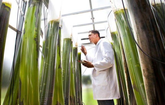 bioeconomystrategy Estratègia europea de bioeconomia: impuls als bioplàstics