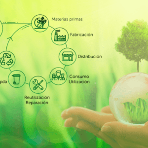 Del 25 de febrer al 16 de juny | Títol Professional en Economia circular en el sector del plàstic