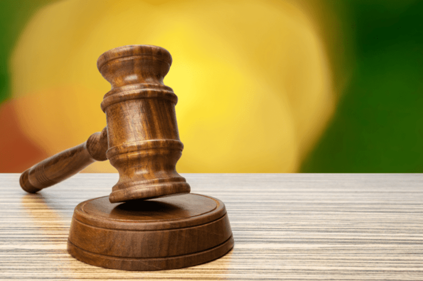 26 de febrer | Nova Llei d’envasos i residus d’envasos: Reglament 2025/40