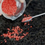 Biomaterials: Bioplàstics i Biocomposites