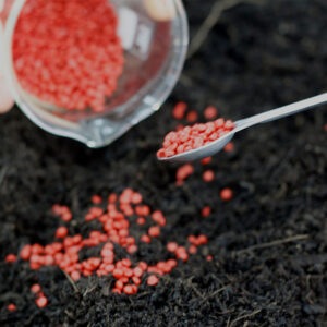 Biomaterials: Bioplàstics i Biocomposites