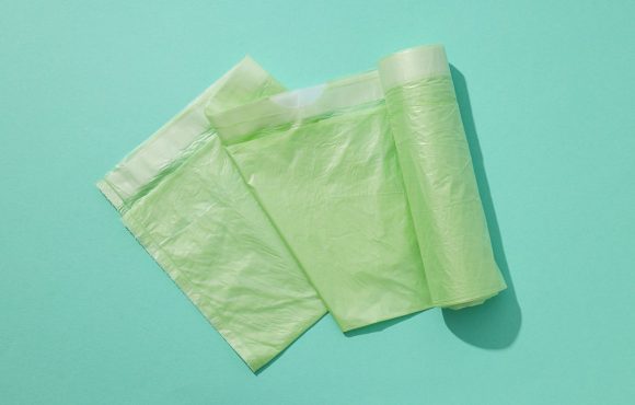 Què canvia en la biodegradabilitat dels polímers Què canvia en la biodegradabilitat dels polímers