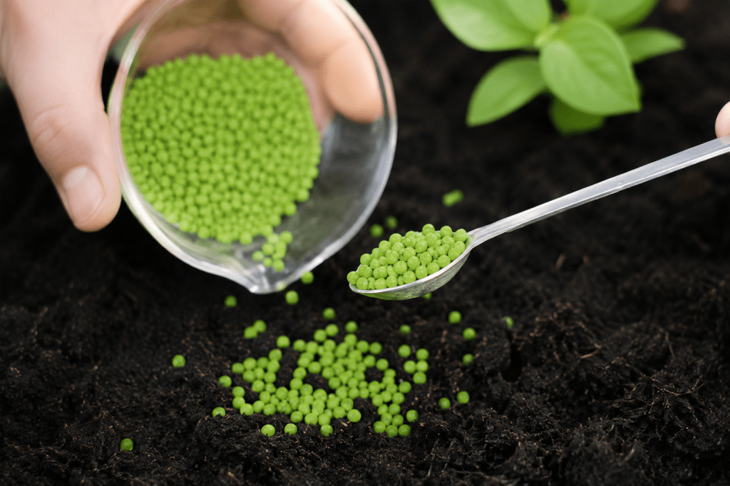 Biomateriales: Bioplásticos y Biocomposites