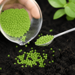 Biomateriales: Bioplásticos y Biocomposites