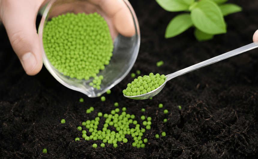 Biomateriales: Bioplásticos y Biocomposites